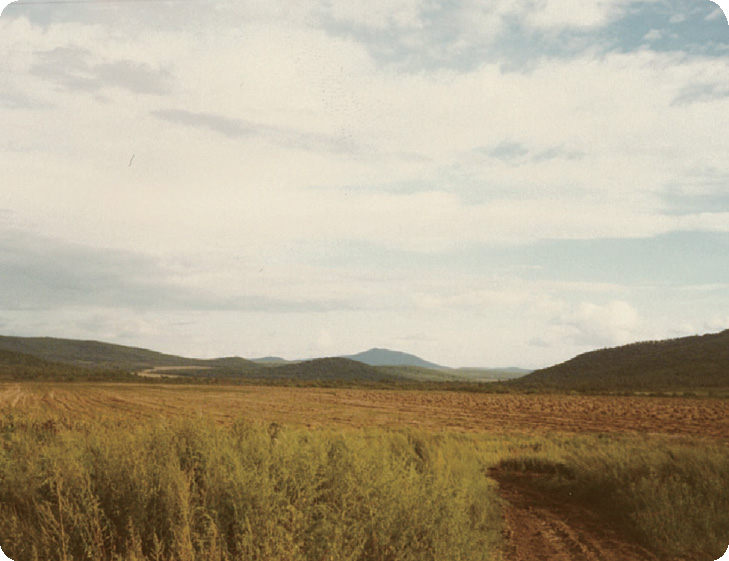 見渡す限りの耕地（大豆畑）。中国 黒龍江省三江平原（1981.9）