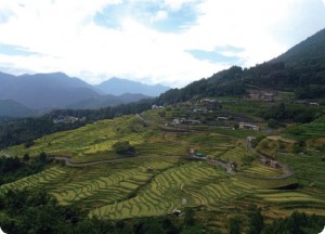 〈七月・八月〉